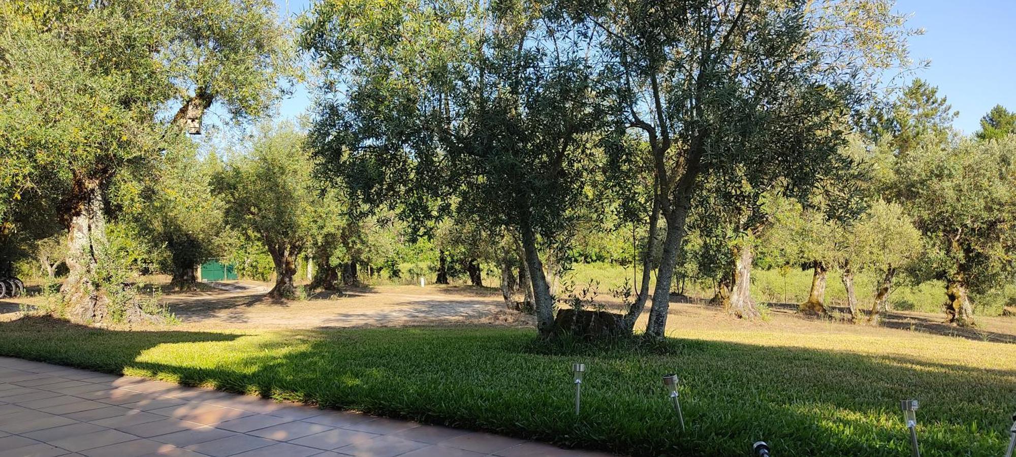 Quinta Da Pedra Mija Guest House Santar Luaran gambar