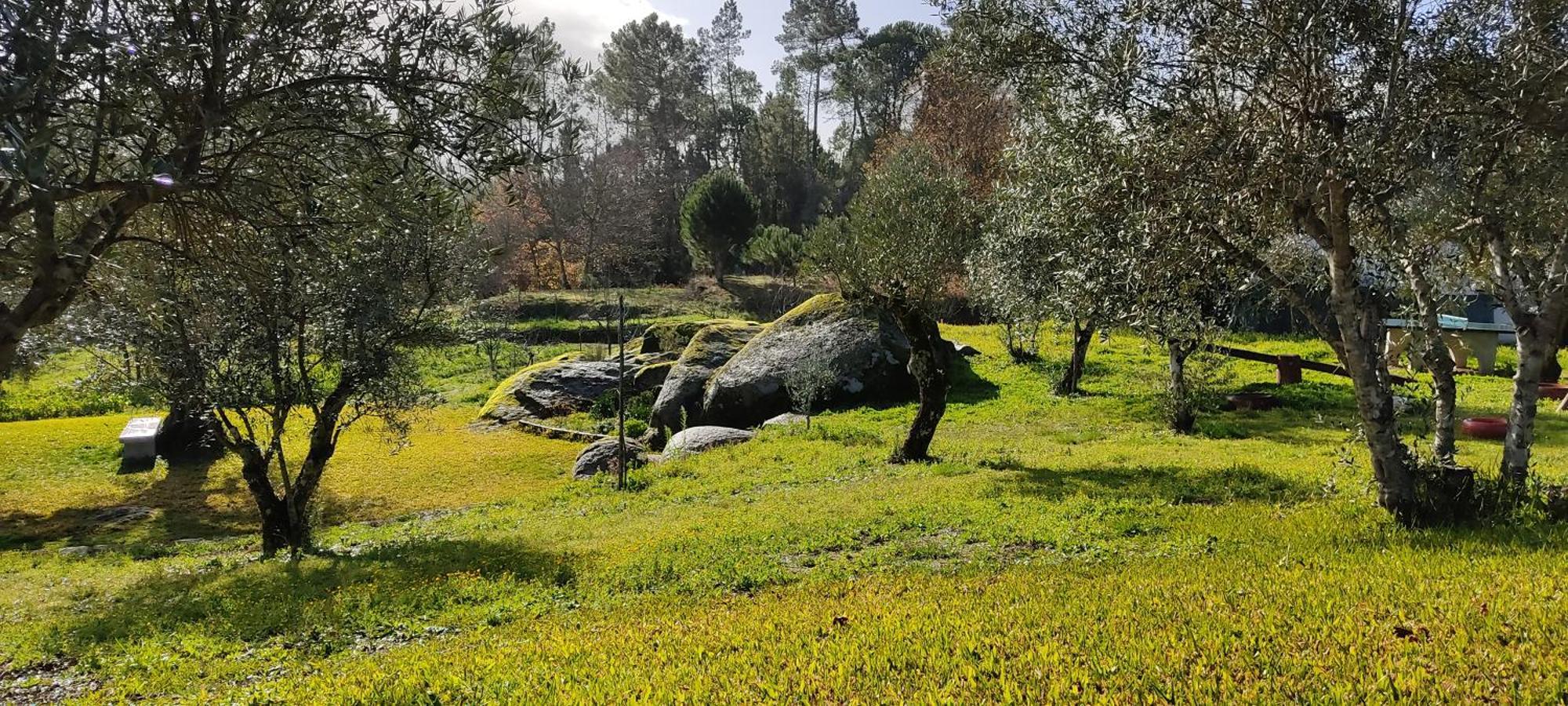 Quinta Da Pedra Mija Guest House Santar Luaran gambar