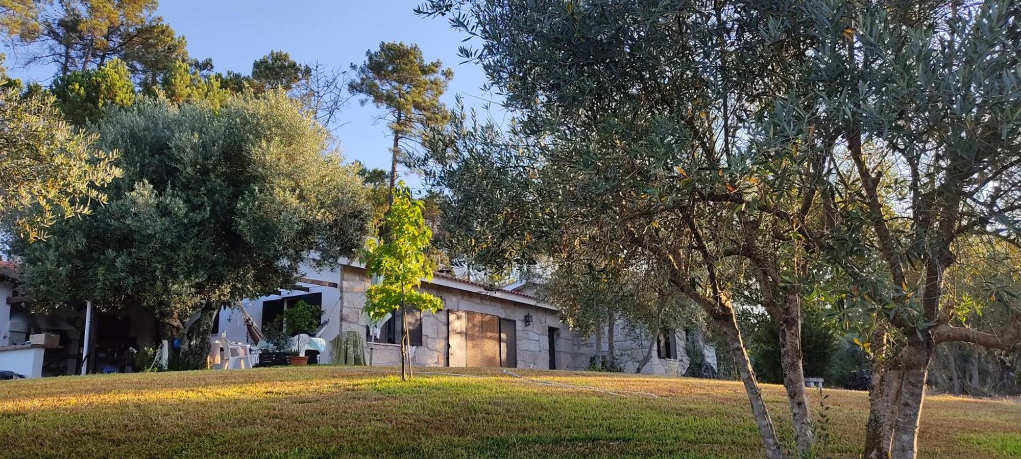 Quinta Da Pedra Mija Guest House Santar Luaran gambar