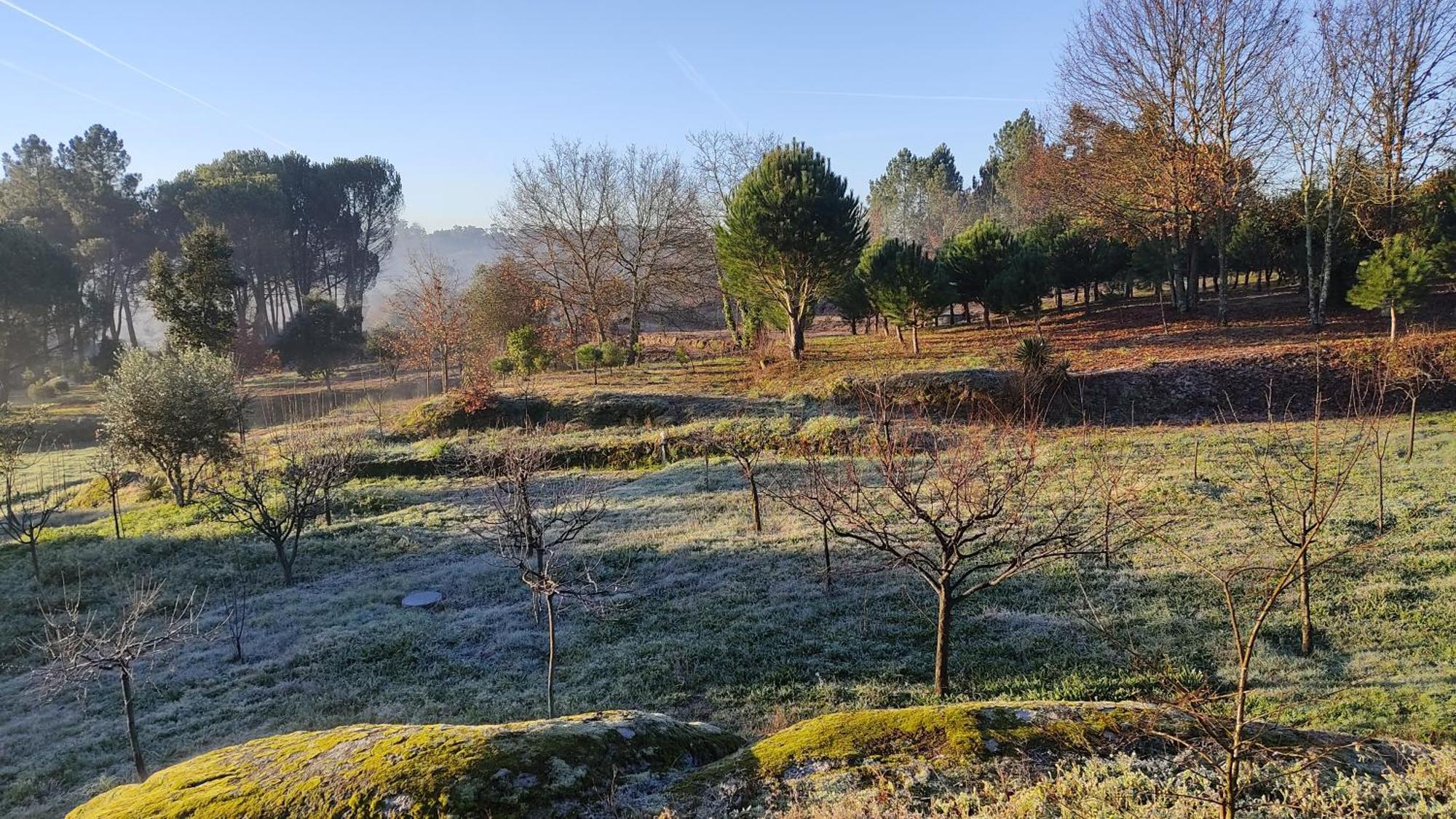 Quinta Da Pedra Mija Guest House Santar Luaran gambar