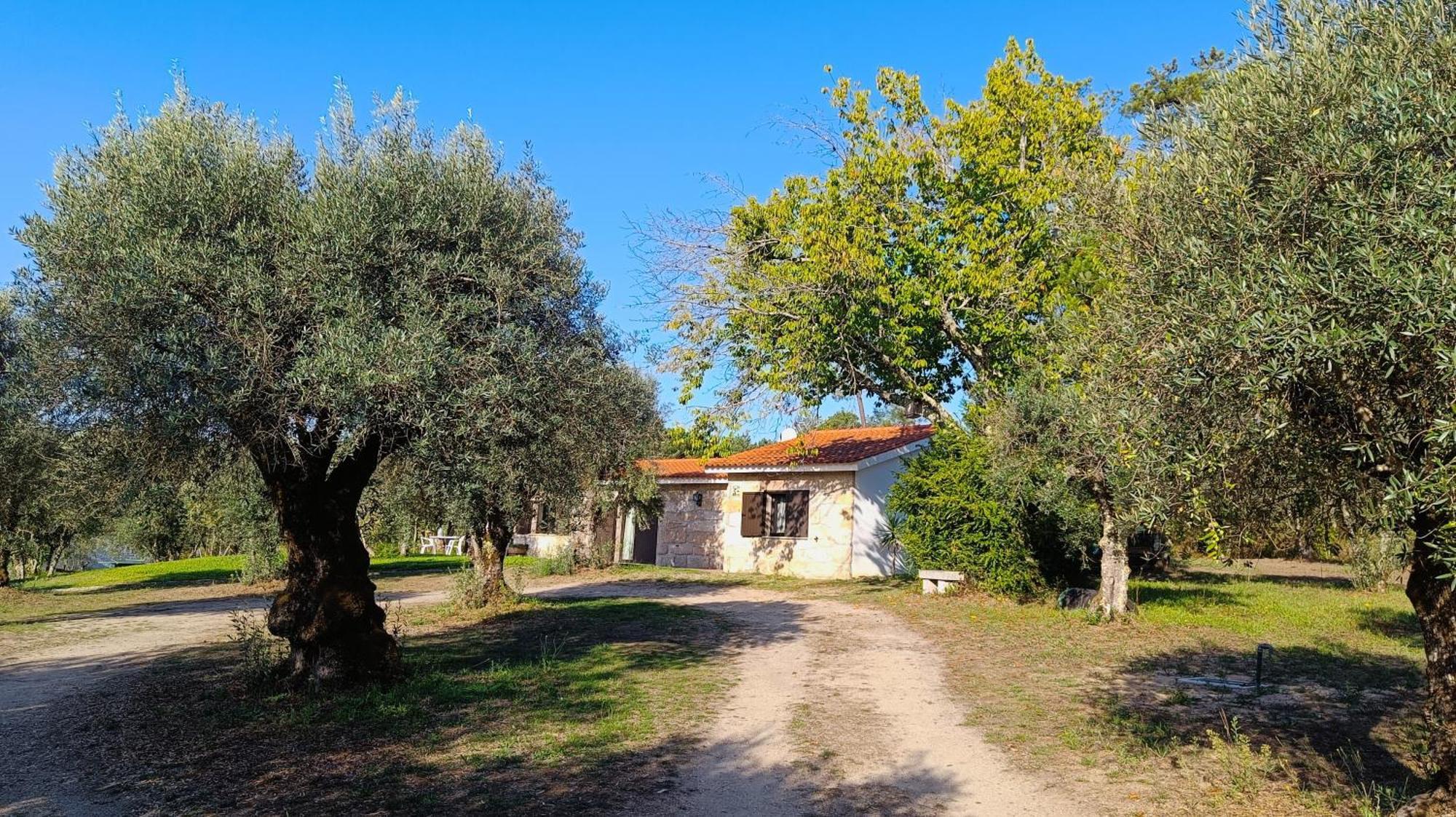 Quinta Da Pedra Mija Guest House Santar Luaran gambar