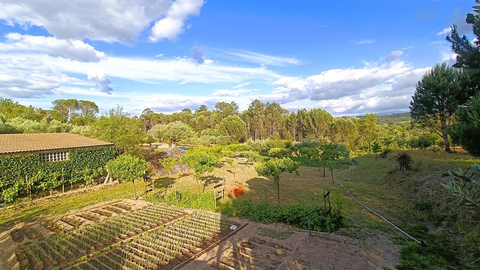 Quinta Da Pedra Mija Guest House Santar Luaran gambar