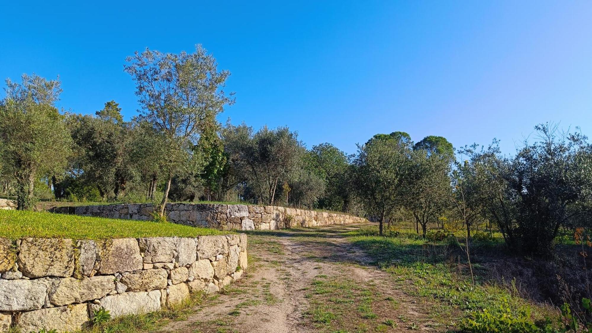 Quinta Da Pedra Mija Guest House Santar Luaran gambar