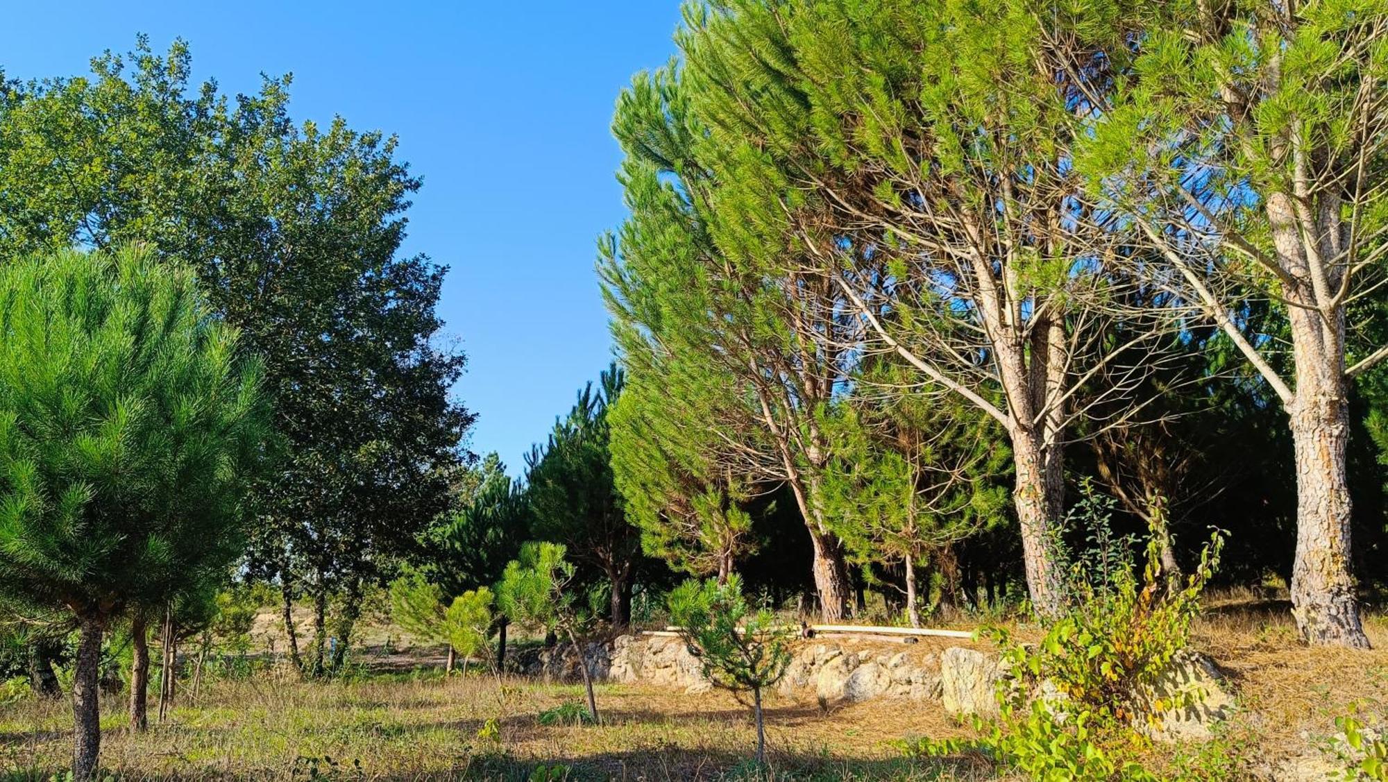 Quinta Da Pedra Mija Guest House Santar Luaran gambar