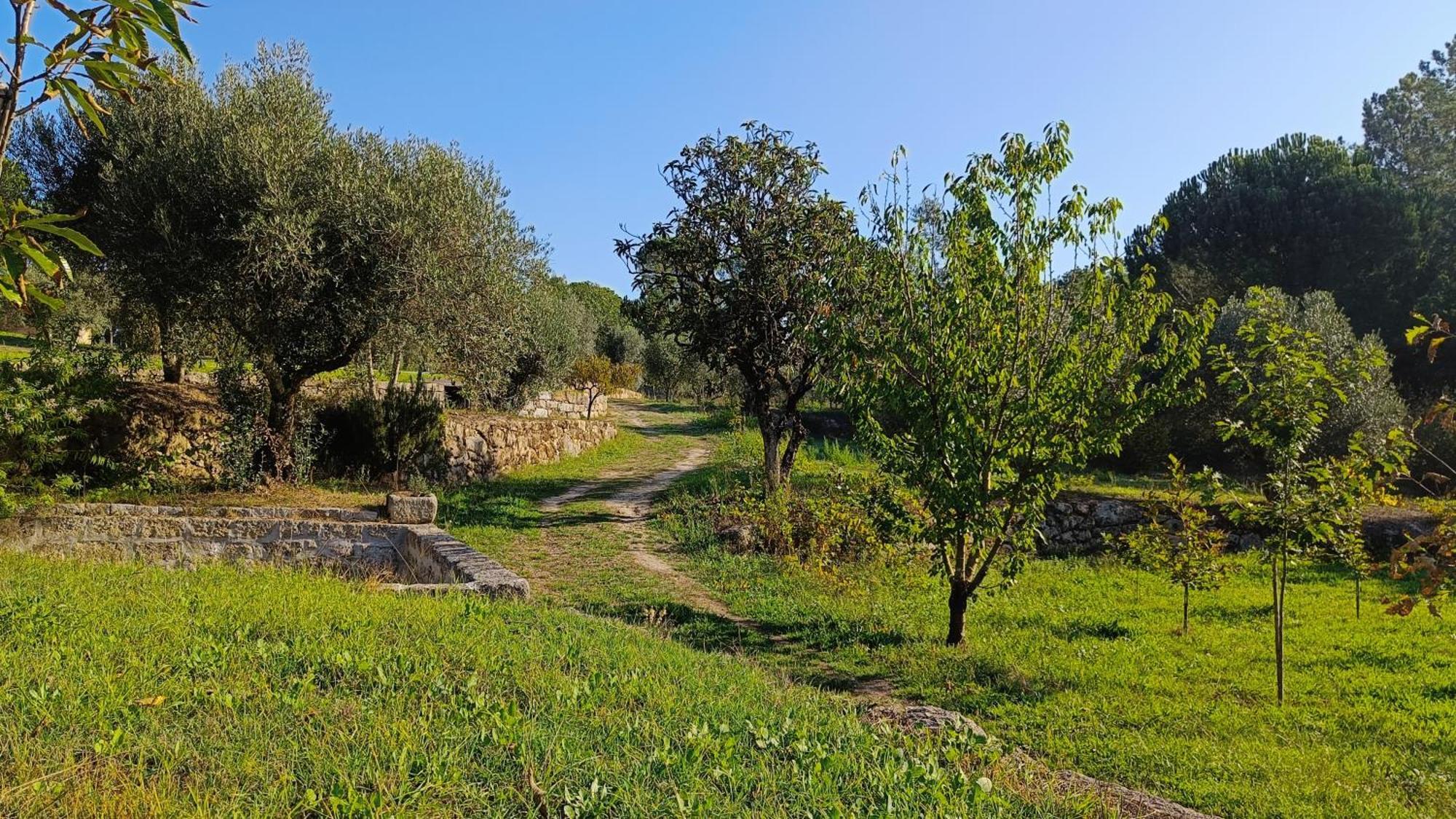 Quinta Da Pedra Mija Guest House Santar Luaran gambar