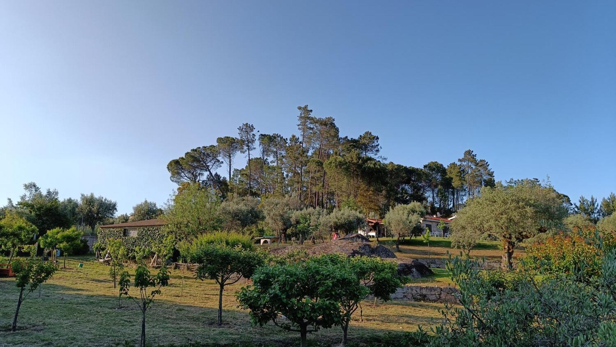 Quinta Da Pedra Mija Guest House Santar Luaran gambar