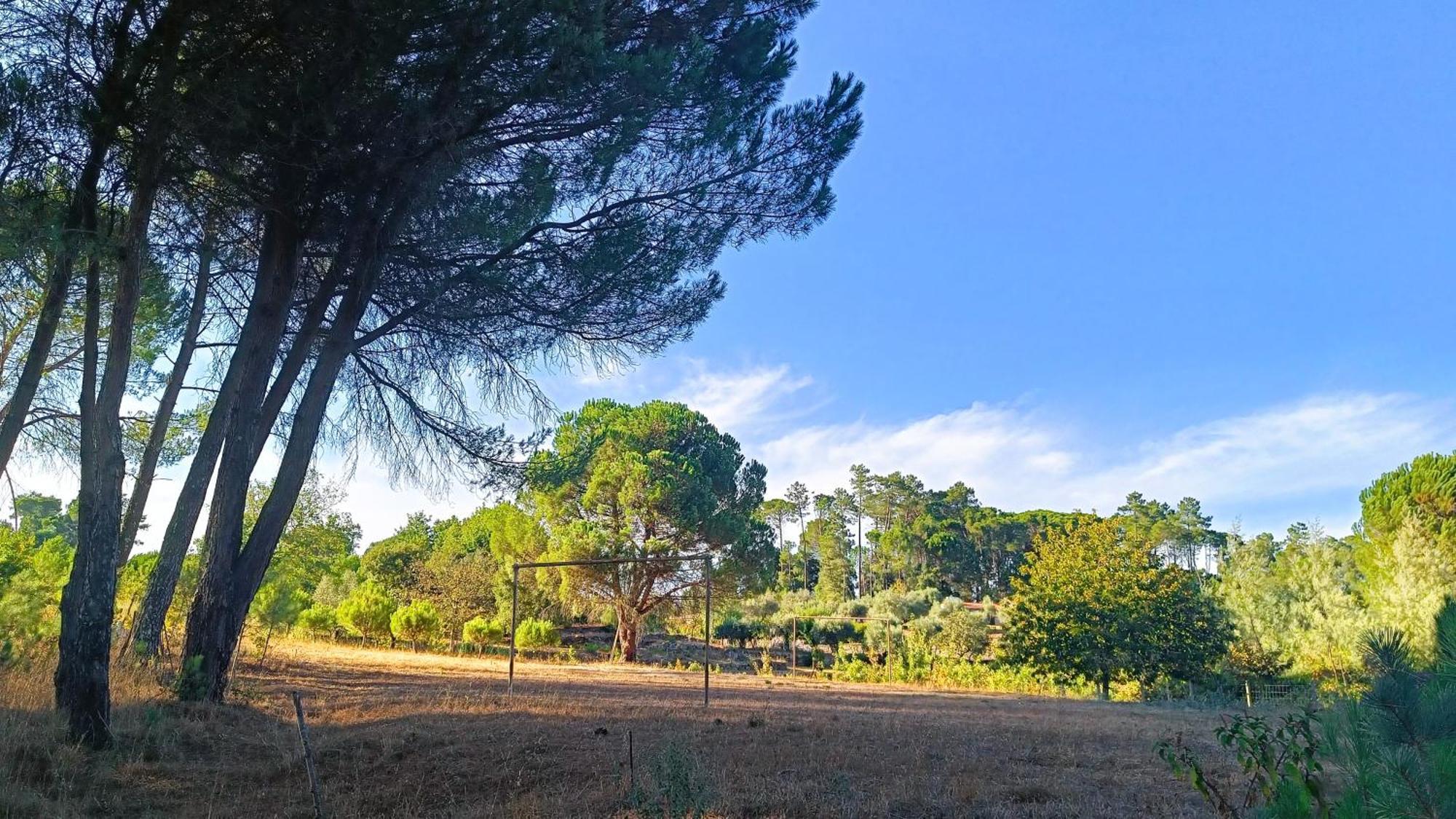 Quinta Da Pedra Mija Guest House Santar Luaran gambar