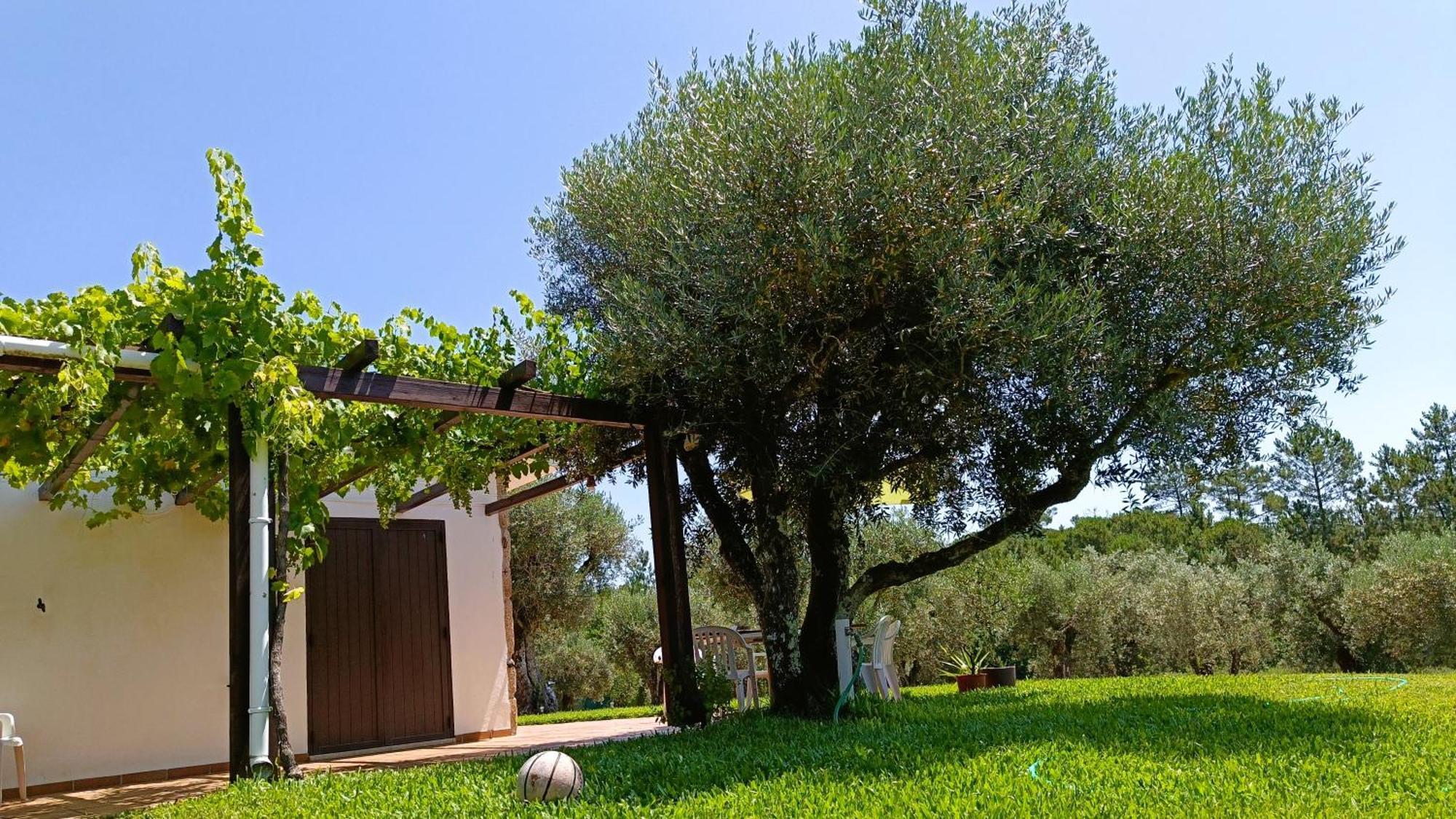 Quinta Da Pedra Mija Guest House Santar Luaran gambar