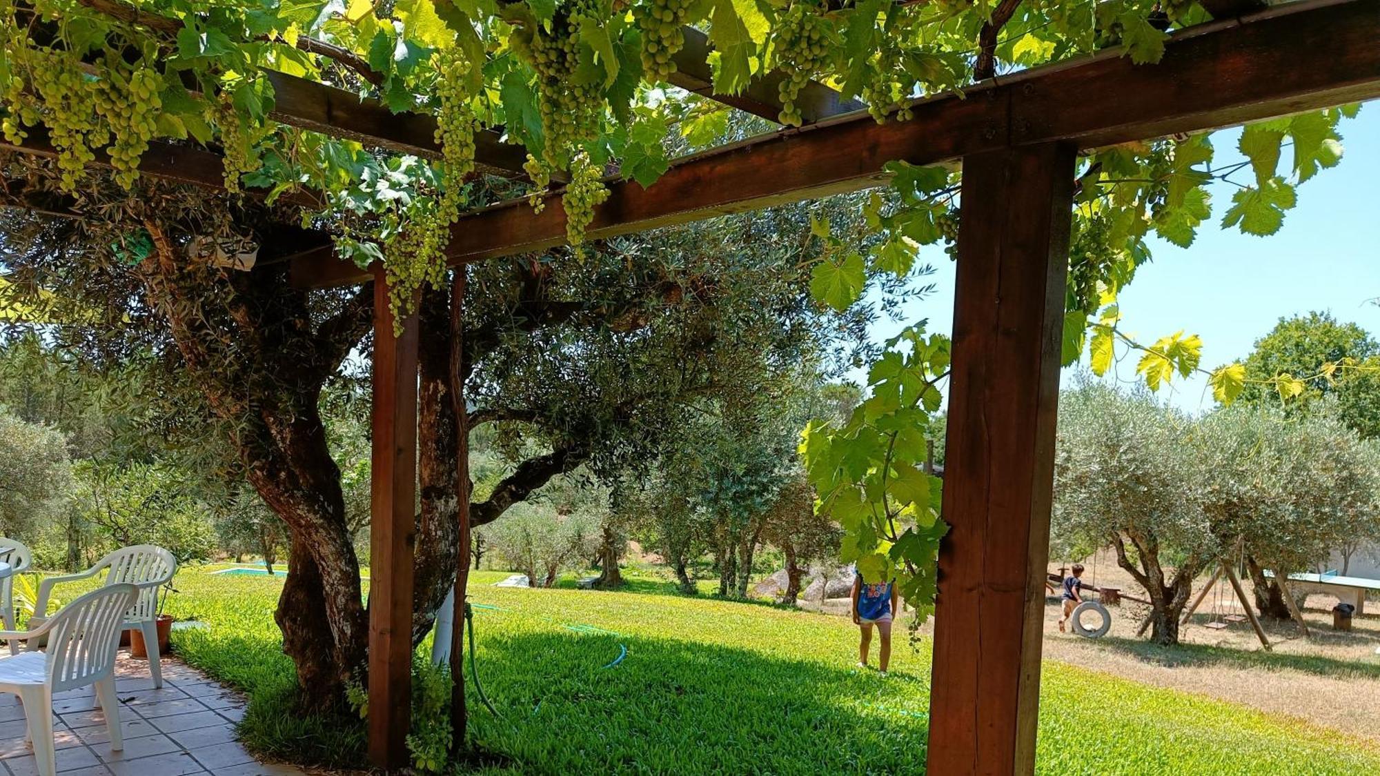 Quinta Da Pedra Mija Guest House Santar Luaran gambar