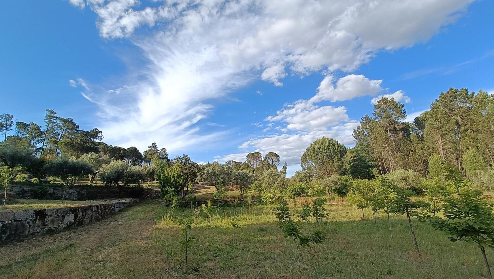Quinta Da Pedra Mija Guest House Santar Luaran gambar