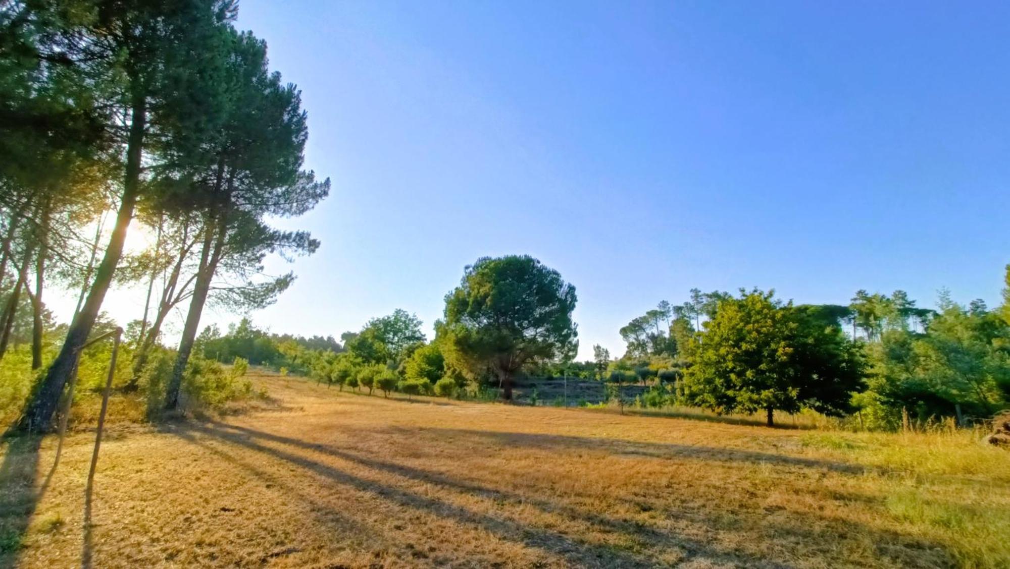 Quinta Da Pedra Mija Guest House Santar Luaran gambar