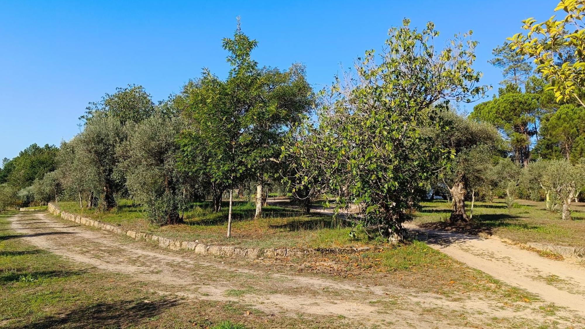 Quinta Da Pedra Mija Guest House Santar Luaran gambar