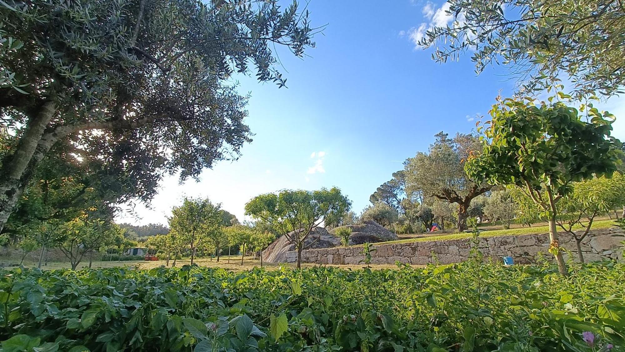 Quinta Da Pedra Mija Guest House Santar Luaran gambar